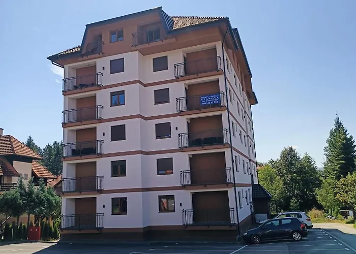 Rosa Lux 25